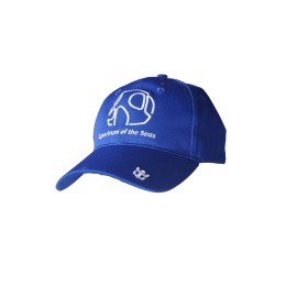 HA320  訂做棒球帽 設計運動帽 可調節  繡花logo  棒球帽生產商     藍色 HA320  訂做棒球帽 設計運動帽 可調節  繡花logo  棒球帽生產商     藍色